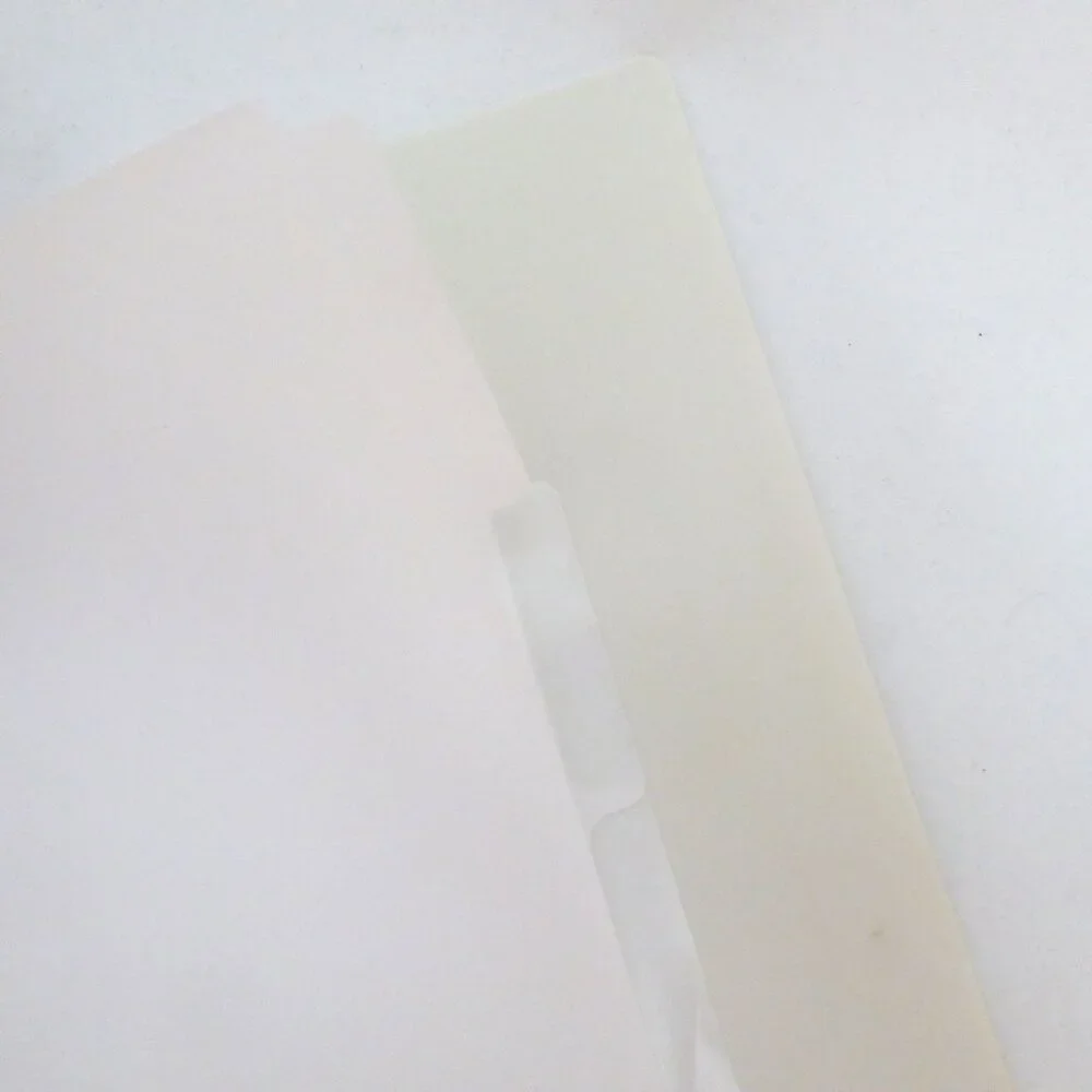NEW 500 BUSINESS CARD RINGED BINDER CARD HOLDER SLEEVES & TABS JAPAN